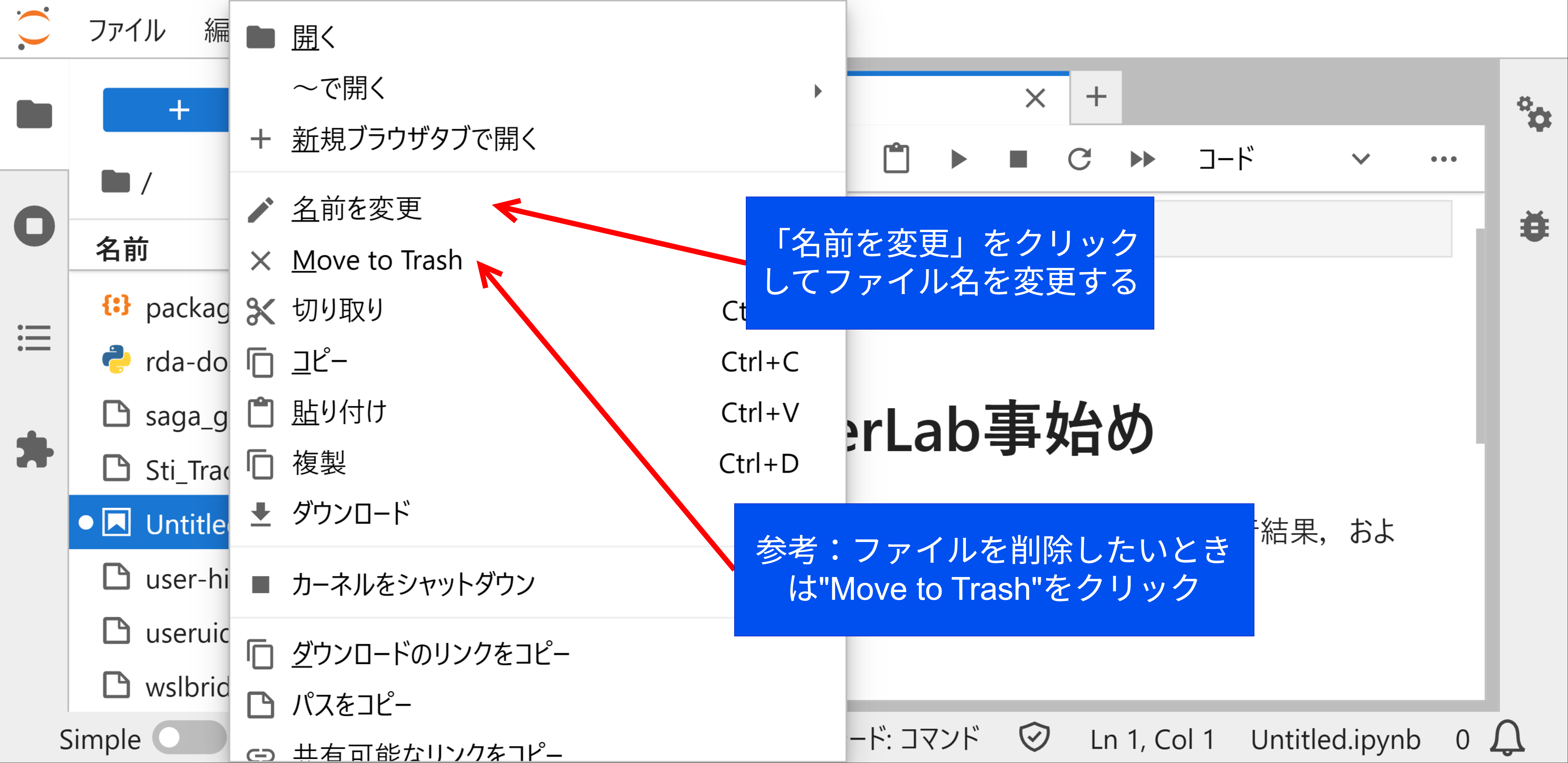 ノートブックのファイル名を変更する方法その2：「名前を変更」をクリックしファイル名を変更．なおファイルを削除したいときは"Move to Trash"を選択する